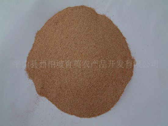 核桃殼濾料 (2)